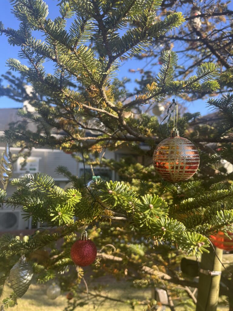 今年もこの時期がやってきた🎅