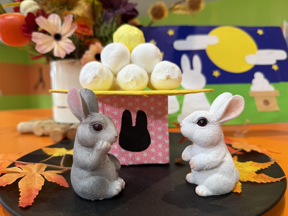 🐰十五夜🐰